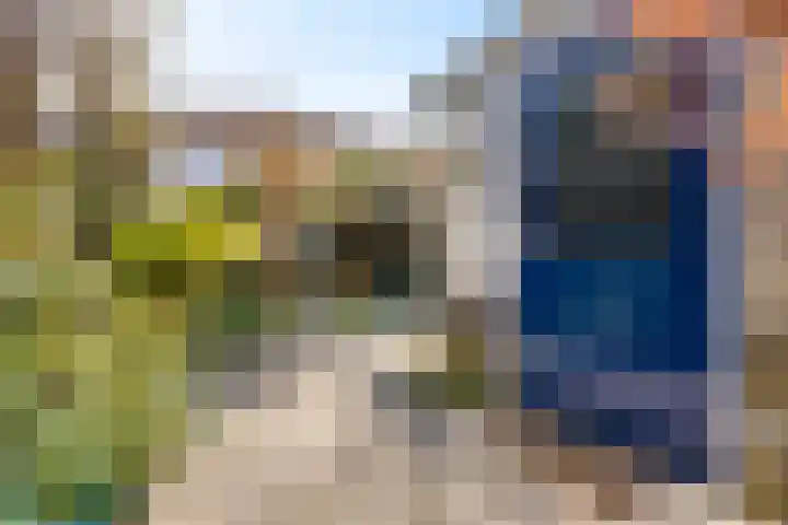 Meester Broerensingel 1 Rosmalen thumbnail 22