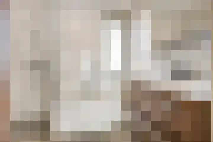 Meester Broerensingel 1 Rosmalen thumbnail 30