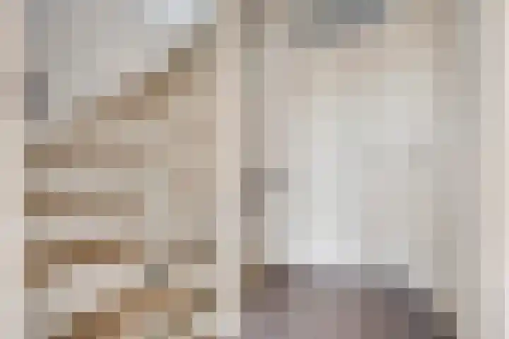 Meester Broerensingel 1 Rosmalen thumbnail 33
