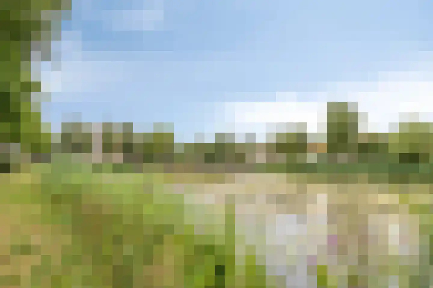 Meester Broerensingel 116 Rosmalen thumbnail 19