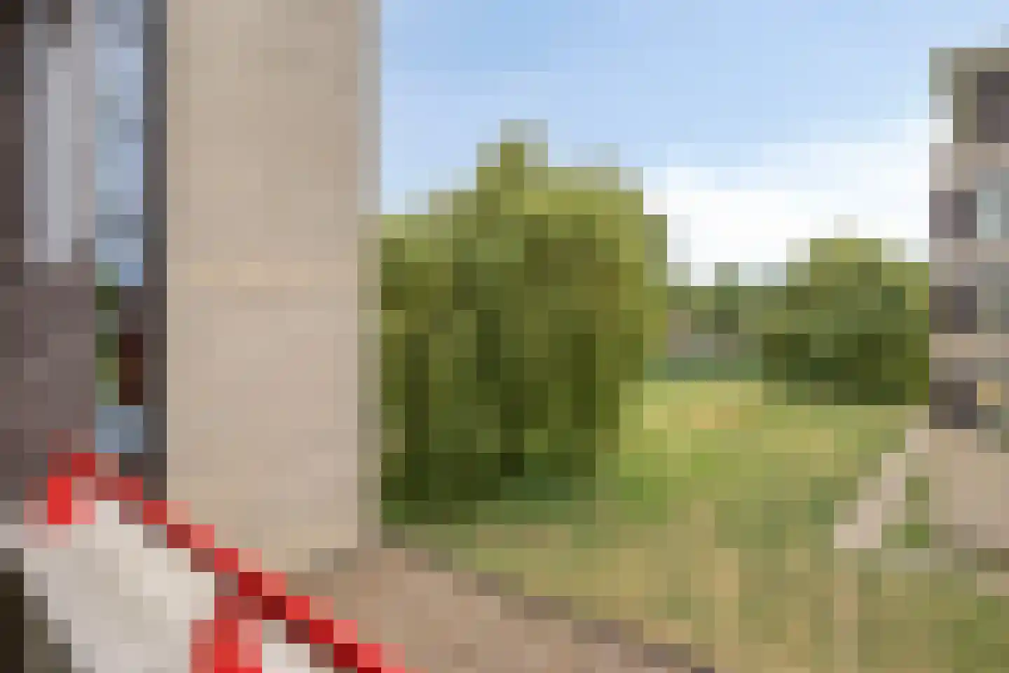 Meester Broerensingel 116 Rosmalen thumbnail 6