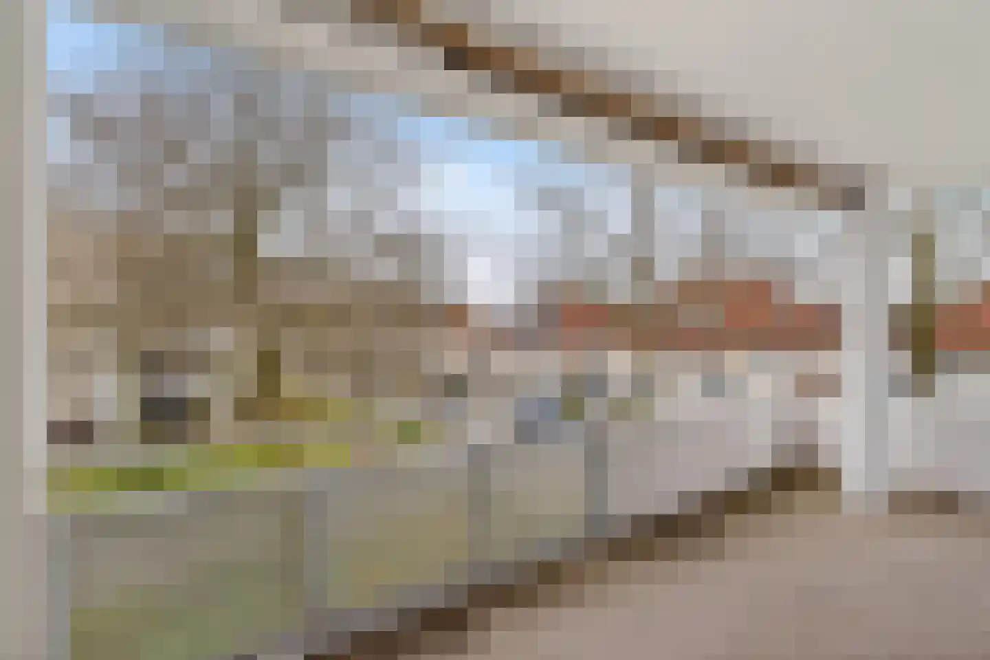 Meester Broerensingel 14 Rosmalen thumbnail 13
