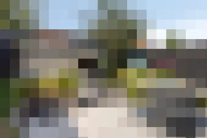 Meester Broerensingel 73 Rosmalen thumbnail 28