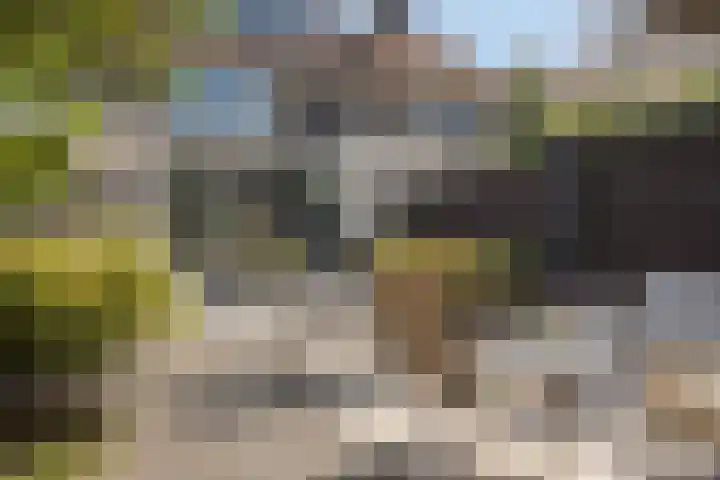 Meester Broerensingel 73 Rosmalen thumbnail 31