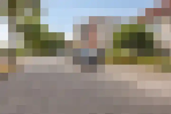 Meester Broerensingel 73 Rosmalen thumbnail 37