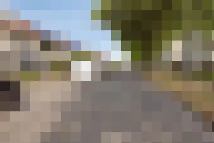 Meester Broerensingel 73 Rosmalen thumbnail 38