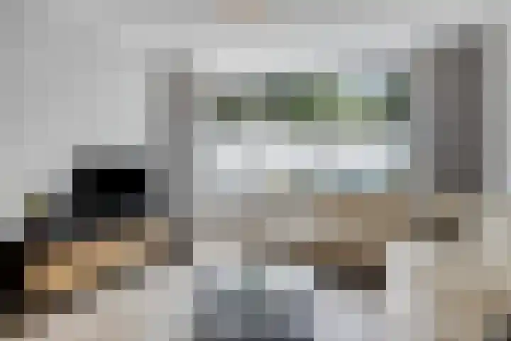 Meester Broerensingel 73 Rosmalen thumbnail 4
