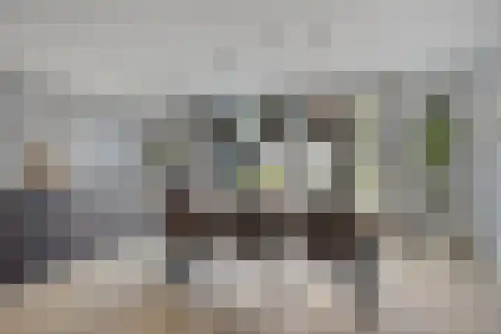 Meester Broerensingel 73 Rosmalen thumbnail 8