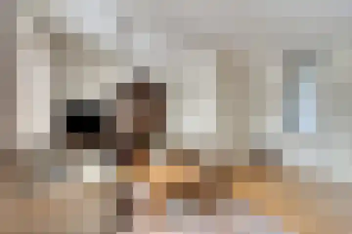 Meester Caelersstraat 14 Koningslust thumbnail 10