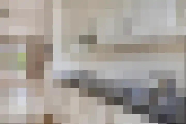 Meester Caelersstraat 14 Koningslust thumbnail 13