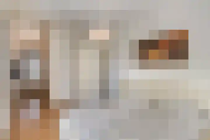 Meester Caelersstraat 14 Koningslust thumbnail 18