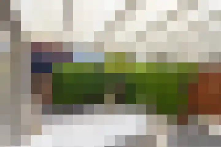 Meester Caelersstraat 14 Koningslust thumbnail 27