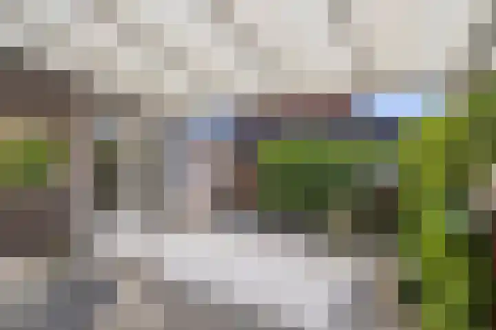 Meester Caelersstraat 14 Koningslust thumbnail 28