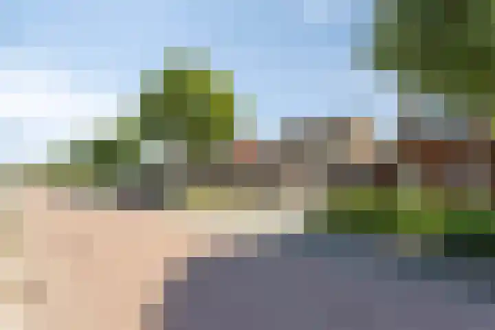 Meester Caelersstraat 14 Koningslust thumbnail 30