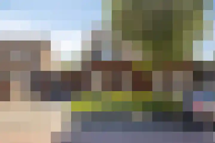 Meester Caelersstraat 14 Koningslust thumbnail 31