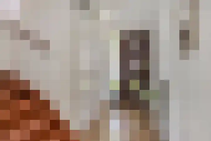 Meester Caelersstraat 14 Koningslust thumbnail 5