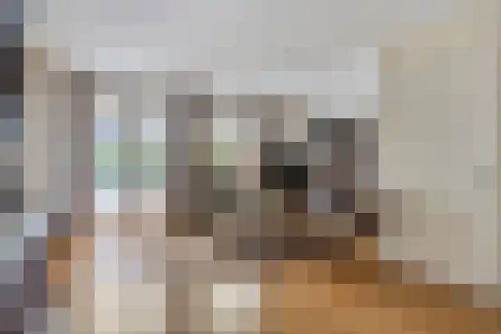 Meester Caelersstraat 14 Koningslust thumbnail 8