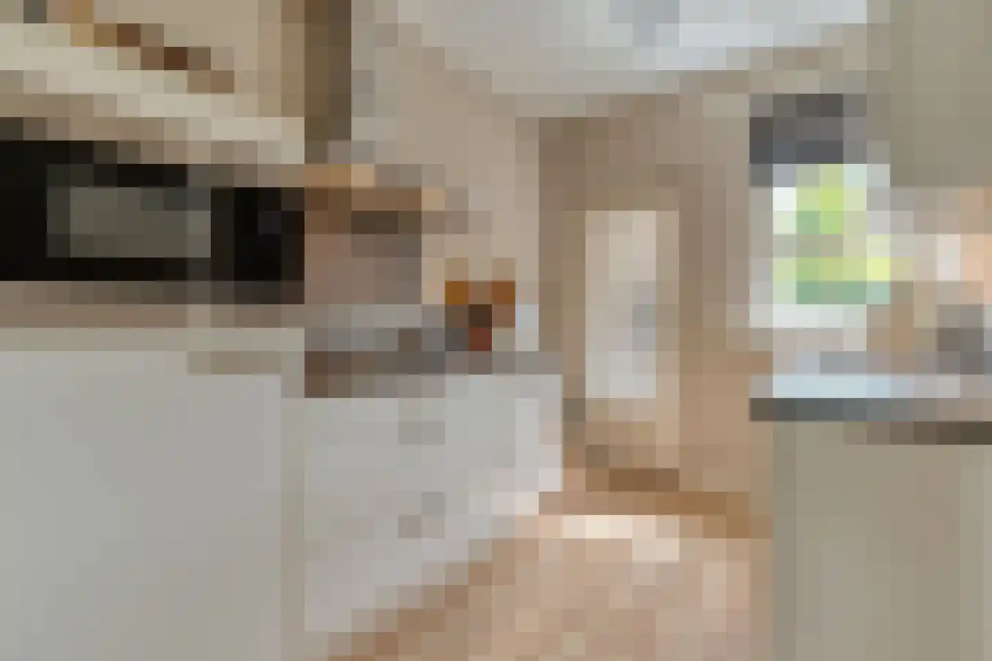 Meester Cassastraat 56 Dalen thumbnail 16