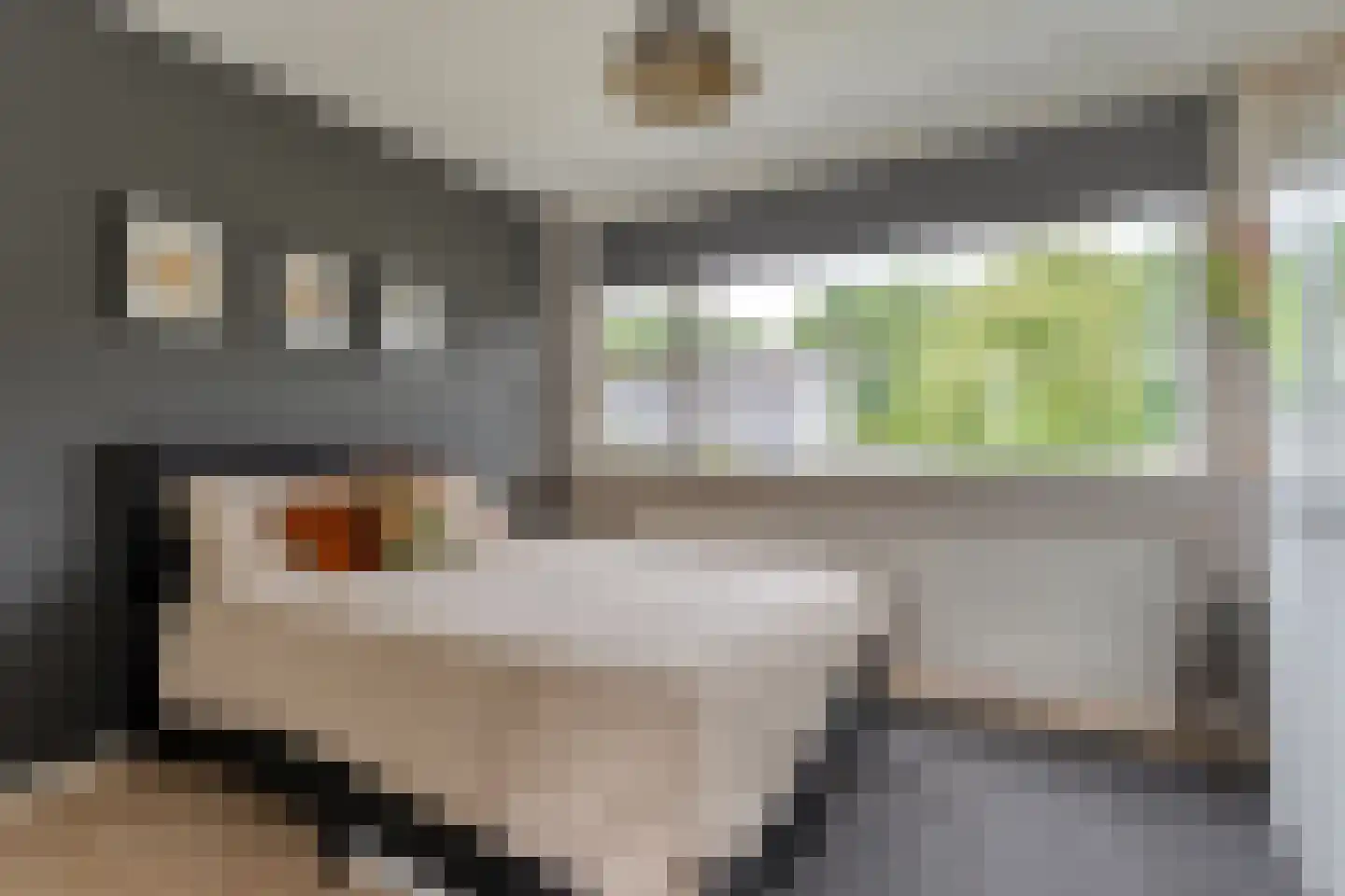 Meester Cassastraat 56 Dalen thumbnail 22