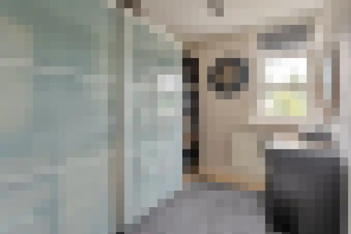 Meester Cassastraat 56 Dalen thumbnail 24