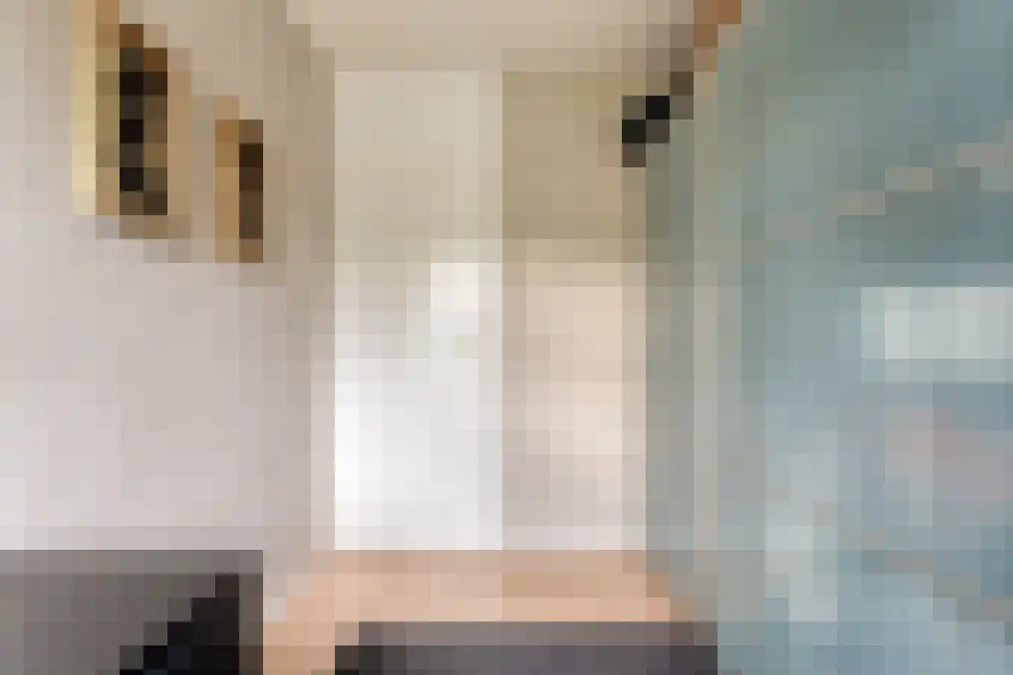 Meester Cassastraat 56 Dalen thumbnail 25