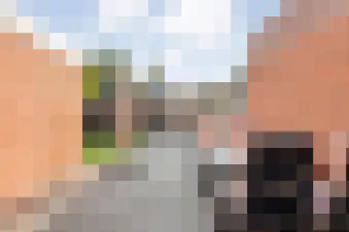 Meester Cassastraat 58 Dalen thumbnail 30