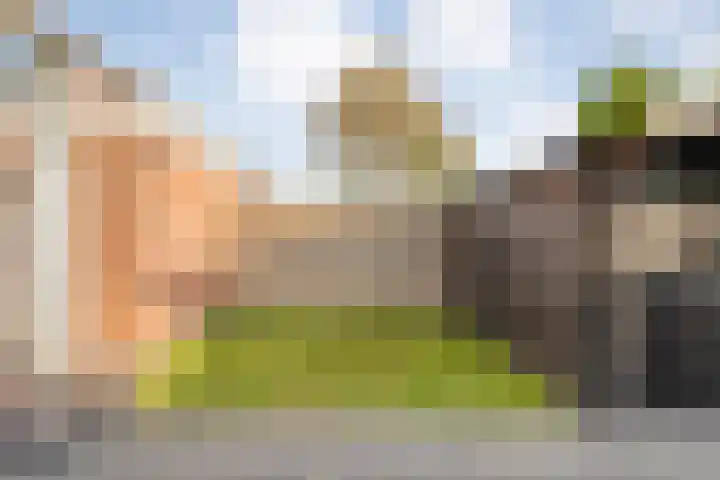 Meester Cassastraat 58 Dalen thumbnail 33