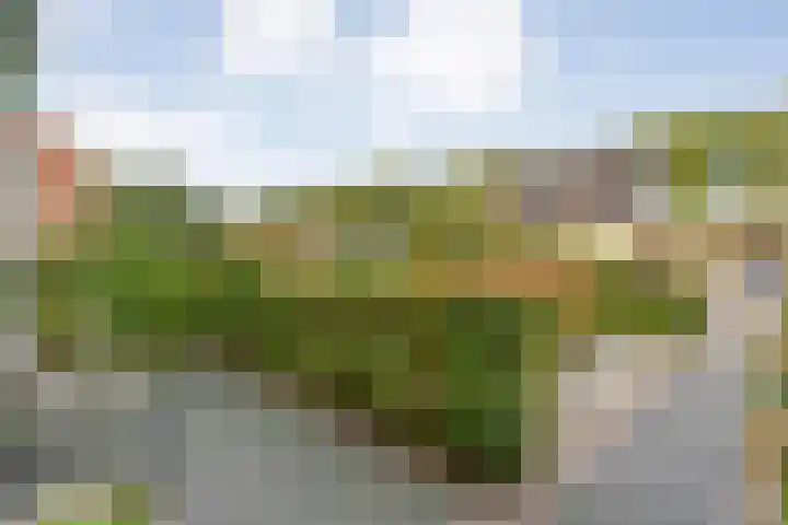 Meester Cassastraat 58 Dalen thumbnail 5