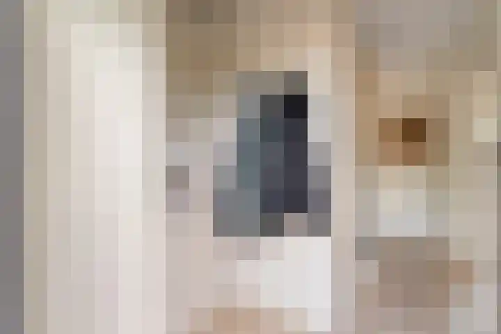 Meester Cassastraat 58 Dalen thumbnail 6