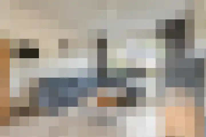 Meester Cassastraat 58 Dalen thumbnail 8