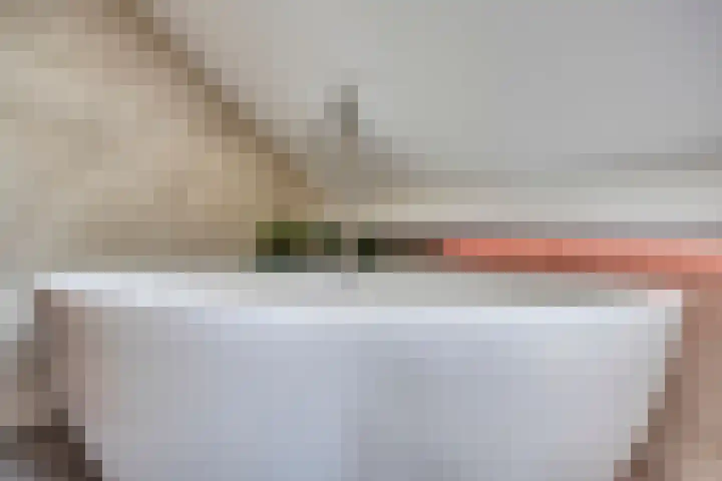 Meester Ceelensingel 8 Rosmalen thumbnail 23