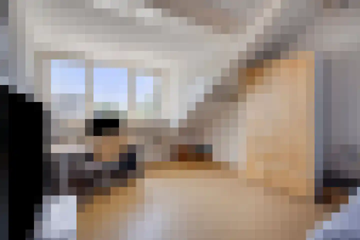 Meester Ceelensingel 8 Rosmalen thumbnail 30