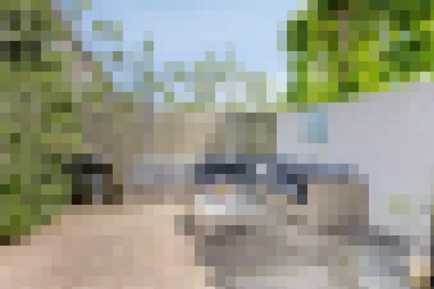 Meester Ceelensingel 8 Rosmalen thumbnail 36
