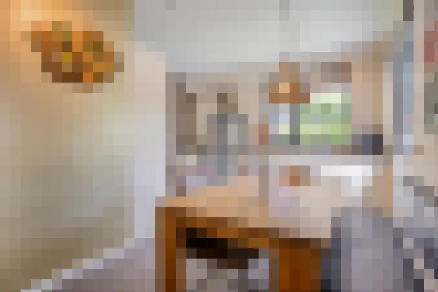 Meester Ceelensingel 8 Rosmalen thumbnail 9