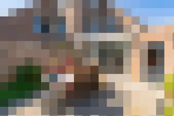 Meester Coelbornerhof 27 's-Hertogenbosch thumbnail 41