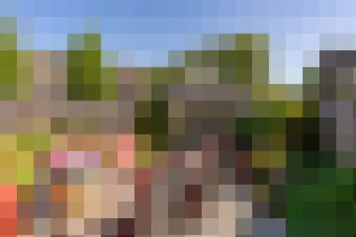 Meester Coelbornerhof 27 's-Hertogenbosch thumbnail 42