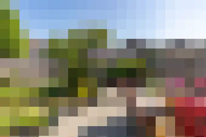 Meester Coelbornerhof 27 's-Hertogenbosch thumbnail 43