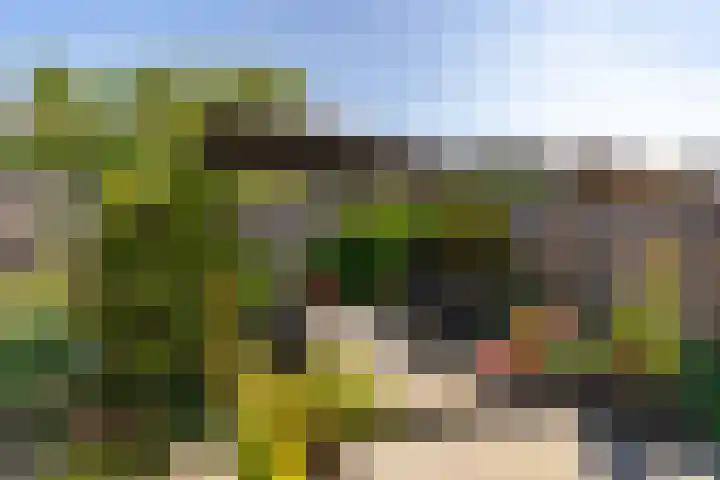 Meester Coelbornerhof 27 's-Hertogenbosch thumbnail 44