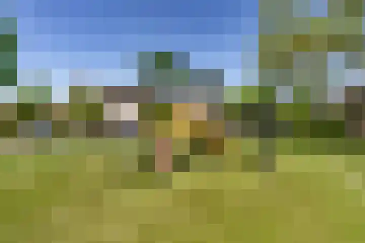 Meester Coelbornerhof 27 's-Hertogenbosch thumbnail 46