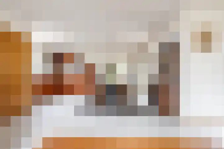 Meester Coelbornerhof 27 's-Hertogenbosch thumbnail 6