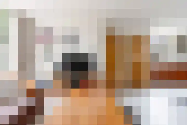 Meester Coelbornerhof 27 's-Hertogenbosch thumbnail 8