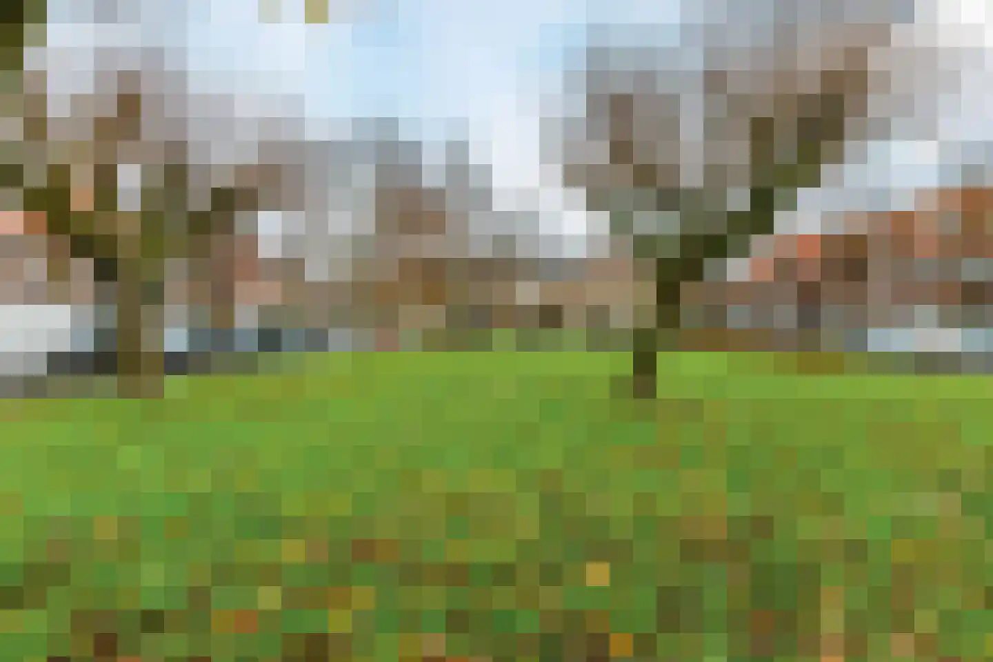Meester Cornelisstraat 3 Haarlem thumbnail 38