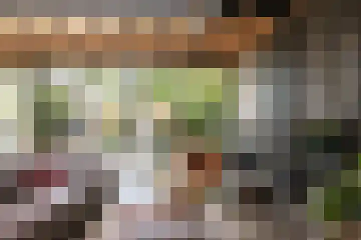 Meester Cornelisstraat 36 Haarlem thumbnail 37