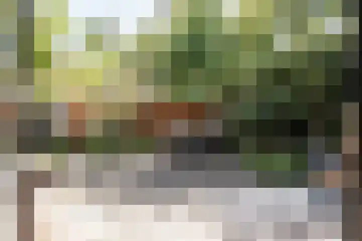 Meester Cornelisstraat 36 Haarlem thumbnail 38