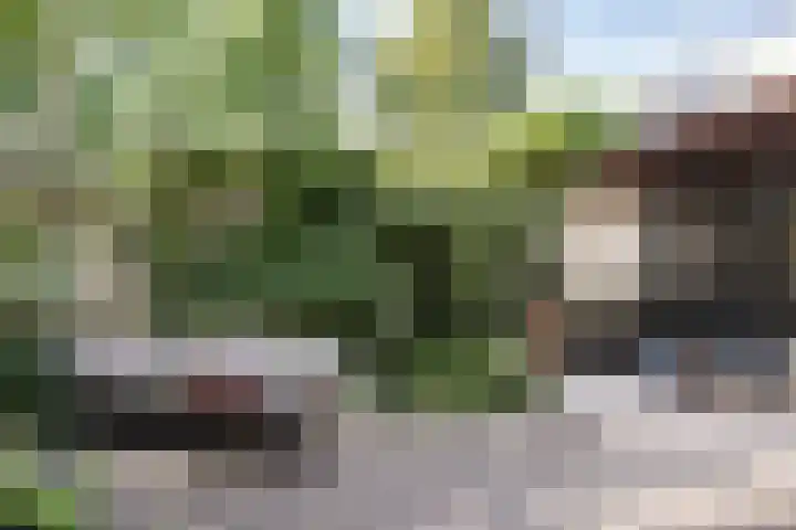 Meester Cornelisstraat 36 Haarlem thumbnail 39
