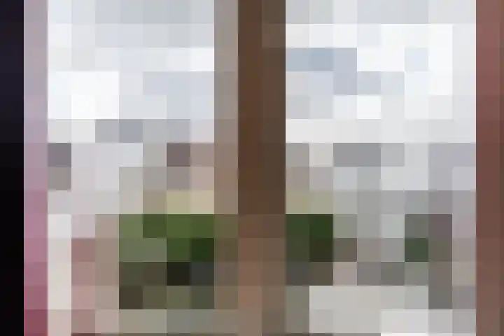 Meester Cornelisstraat 4 Haarlem thumbnail 42