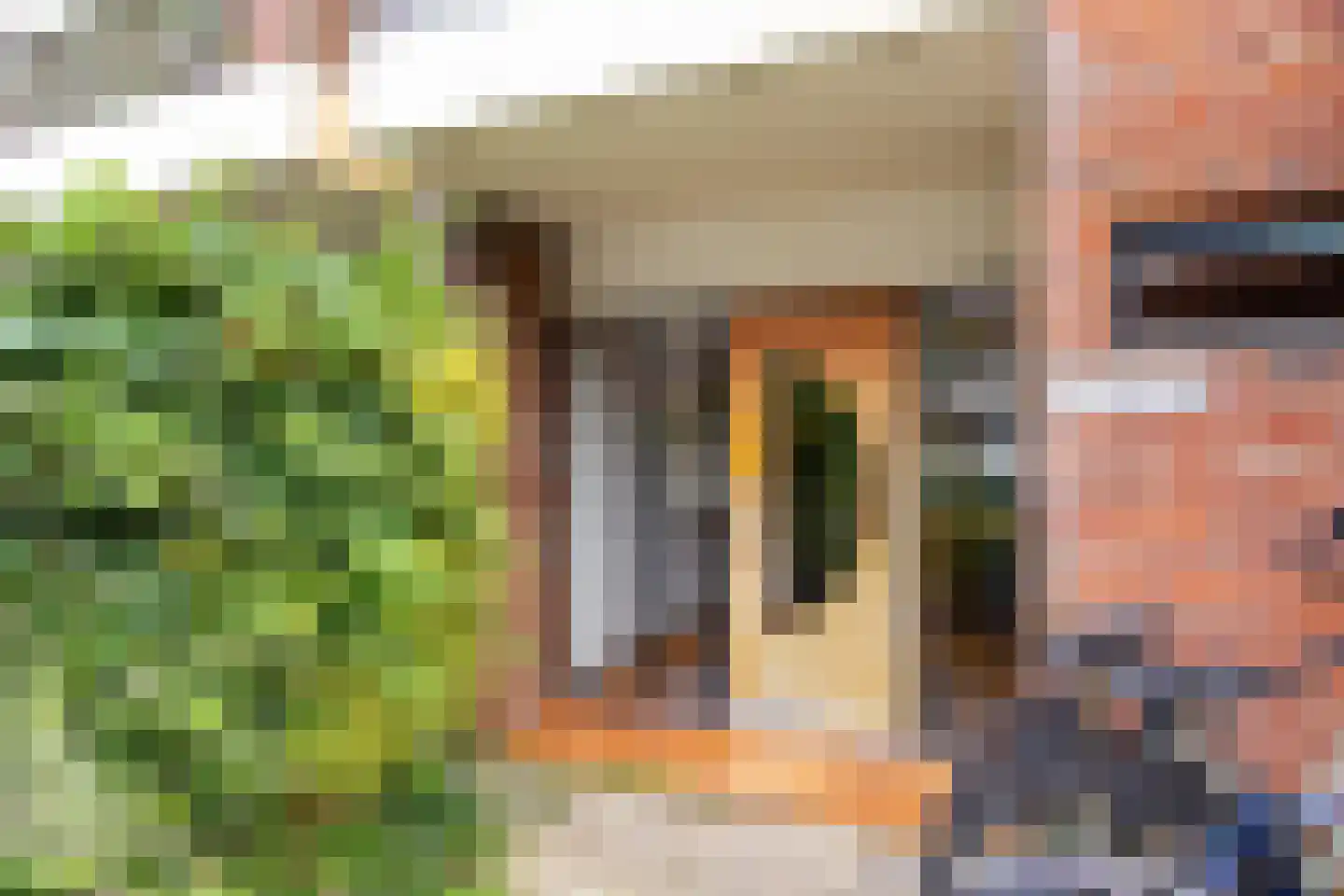 Meester Cornelisstraat 41 Haarlem thumbnail 11
