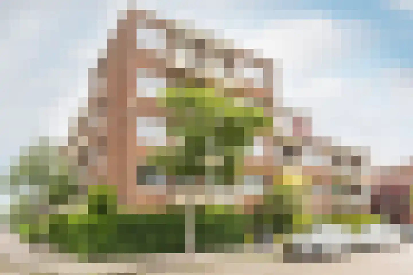 Meester Cornelisstraat 55 Haarlem