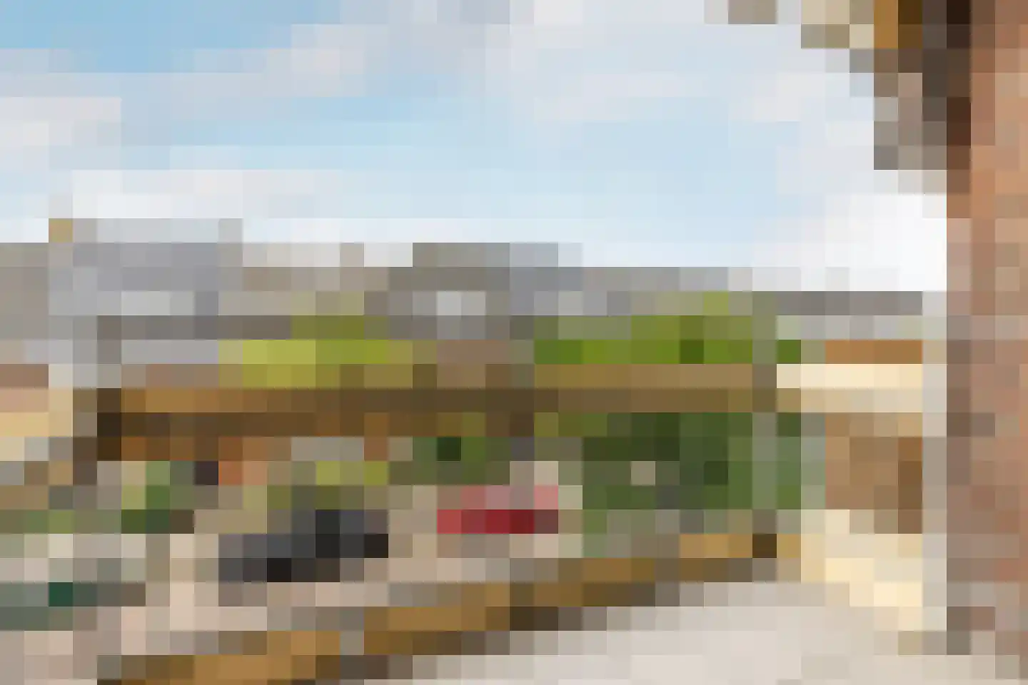 Meester Cornelisstraat 55 Haarlem thumbnail 11