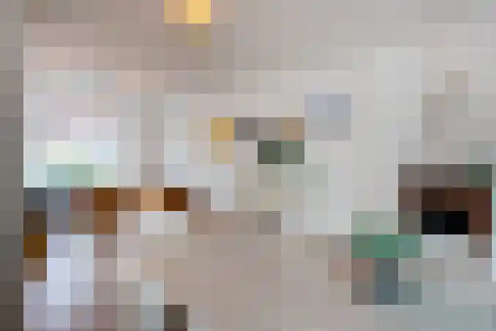 Meester Cornelisstraat 66 ZW Haarlem thumbnail 11
